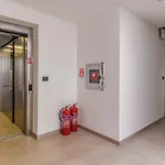 Jelena Apt. *